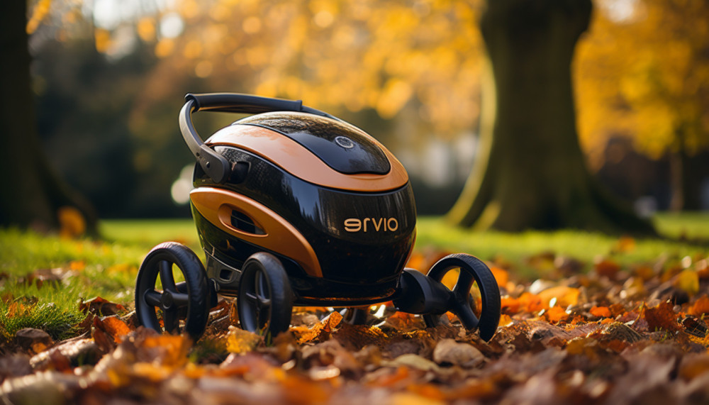 Divers - L’essentiel à savoir sur Ewigo